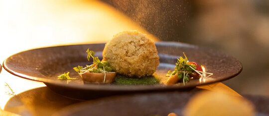 From Nature to the Plate 7-Course Tasting Dinner